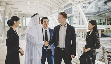مجالات الخبرة